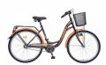 Bicicleta CITADINNE 2636 - Model 2015 DHS