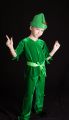 Costum Peter Pan 733