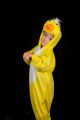 Inchiriere costum serbare pui 1313