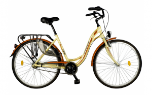 Bicicleta CITADINNE 2838 - Model 2015 DHS