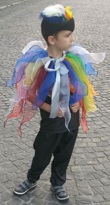 Costum serbare pasare colorata paiata, papagal 2004